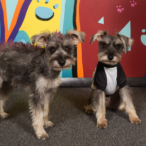 Fundraising Page: Jackie Bayliss